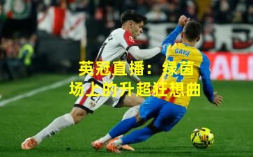 英冠直播：绿茵场上的升超狂想曲