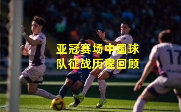 亚冠赛场中国球队征战历程回顾