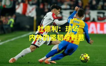  杜德利：球场内外的坚韧与智慧