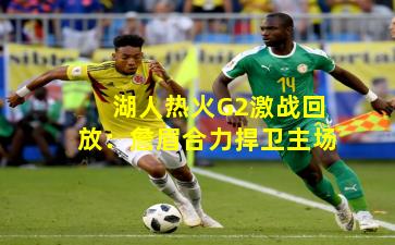 湖人热火G2激战回放：詹眉合力捍卫主场