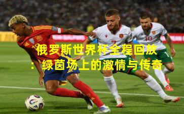 俄罗斯世界杯全程回放：绿茵场上的激情与传奇